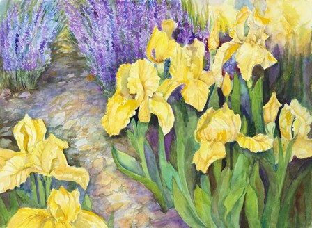 Iris in a Rock Garden by Joanne Porter art print