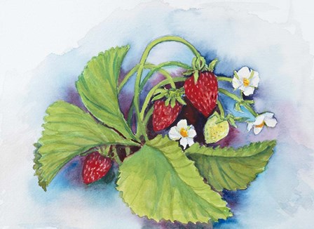 Strawberry Patch - E. Sample Berries by Joanne Porter art print