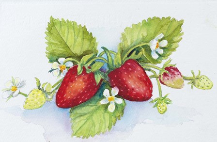 Strawberry Patch - F. Berry Border by Joanne Porter art print