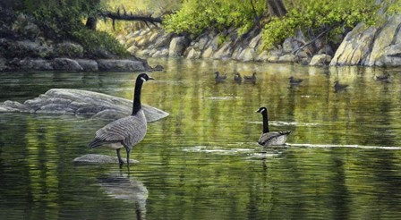 Border Patrol by John Morrow art print