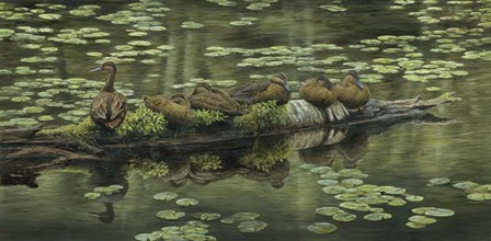 In A Row by John Morrow art print