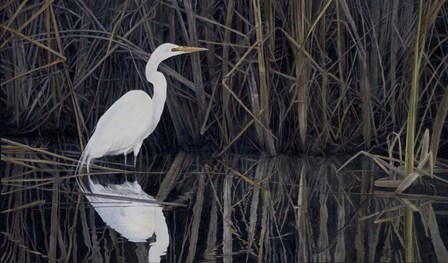 Is a Virtue by John Morrow art print