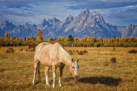 Breakfast in the Tetons by Darren White Photography art print