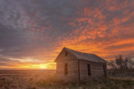 Sunset on the Prairie by Darren White Photography art print