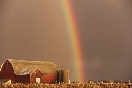 Rainbow by Stephanie Analah art print