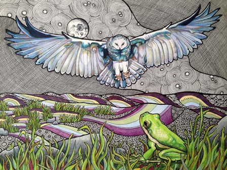 Owl And Frog by Amy Frank art print