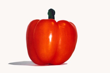 Red Pepper by Ata Alishahi art print