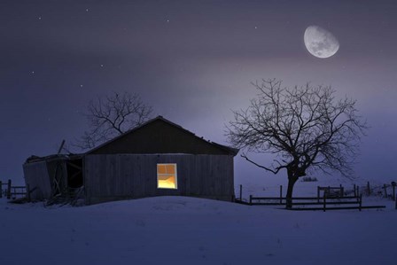 Winter Night by Ata Alishahi art print