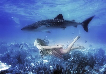 Swim with Tiger Shark by Ata Alishahi art print