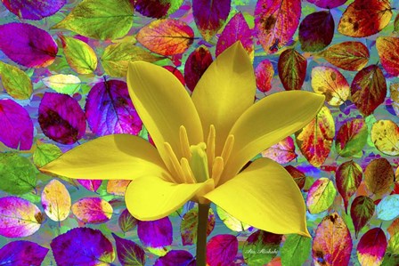 Color Explosion 16 by Ata Alishahi art print
