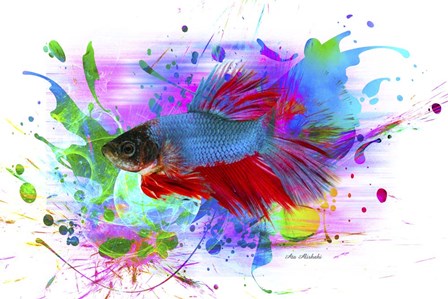 Fish and colors by Ata Alishahi art print