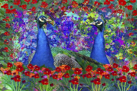 Peacock 1 by Ata Alishahi art print