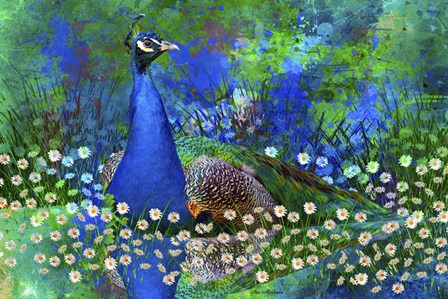 Peacock 2 by Ata Alishahi art print