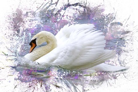Swan 2A by Ata Alishahi art print