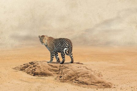 The Leopard 2 by Ata Alishahi art print
