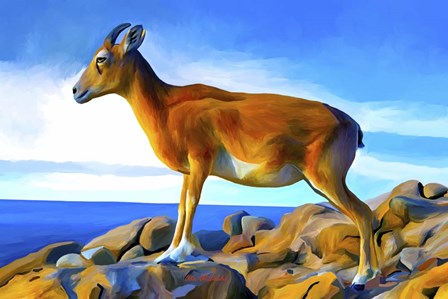 Wild Life 2 by Ata Alishahi art print