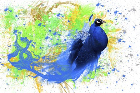 Peacock Tail by Ata Alishahi art print