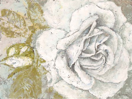 White Rose Blossom by Marie-Elaine Cusson art print