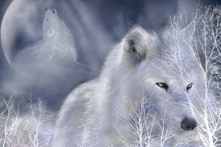 White Wolf by Carol Cavalaris art print
