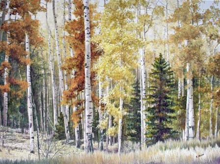 Angel Fire Aspens by Carol J Rupp art print