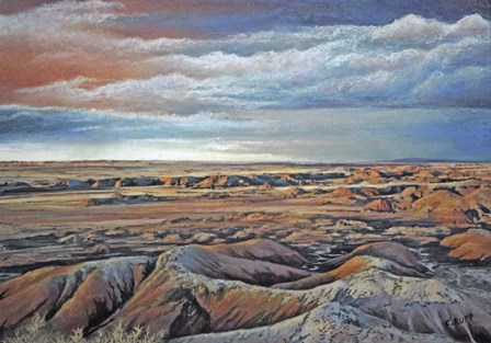 Desert Rain by Carol J Rupp art print