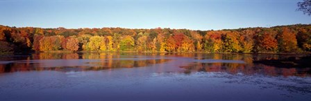 Reflection of Trees and Plants in Water, Bergen County, New Jersey by Panoramic Images art print