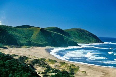 View of the Coastline, Eastern Cape, South Africa by Panoramic Images art print
