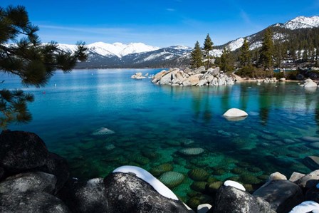 Rocks in Lake Tahoe, California by Panoramic Images art print