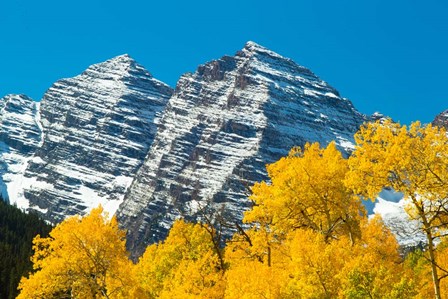 Trees with Mountain Range in the Background, Maroon Creek Valley, Aspen, Colorado by Panoramic Images art print