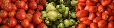 Close-up of Assorted Tomatoes by Panoramic Images art print