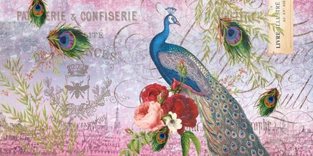 Peacock Purple by Candace Allen art print