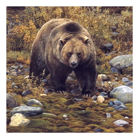 Trailblazer - Grizzly Bear (detail) by Carl Brenders art print