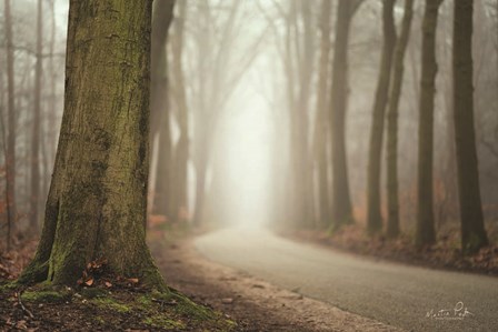 Focus on What You Want by Martin Podt art print