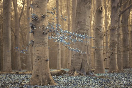 Winter Blues by Martin Podt art print