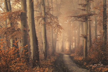 Brown Beauty by Martin Podt art print