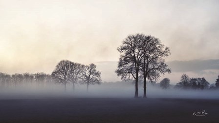 Together by Martin Podt art print