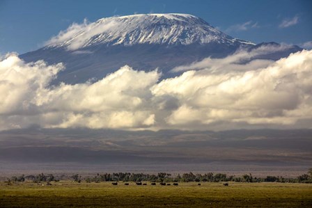 Amboseli National Park, Kenya by Art Wolfe / Danita Delimont art print