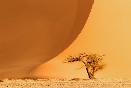 Namib-Naukluft National Park, Namibia by Ellen Goff / Danita Delimont art print