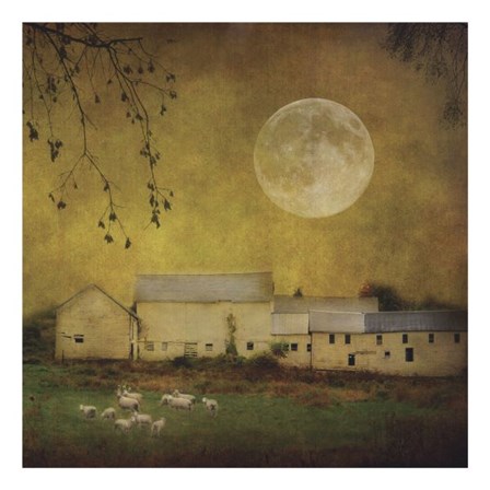 Sheep Under a Harvest Moon by Dawne Polis art print