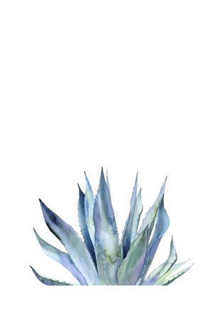 Agave II by Ann Solo art print