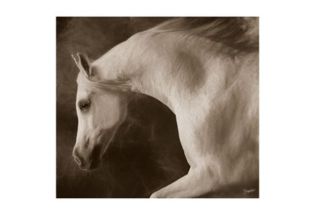 Tag Impression by Barry Hart art print