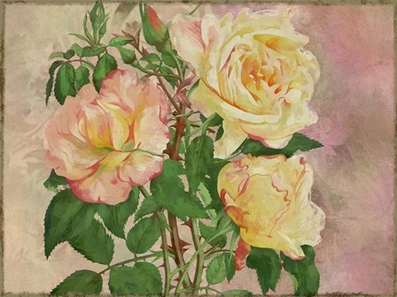 Yellow Roses by Cora Niele art print