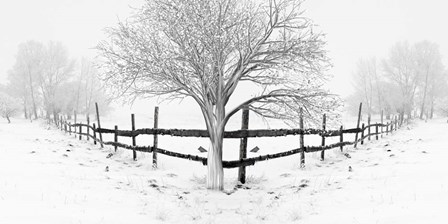 Snowy Landscape by Ata Alishahi art print