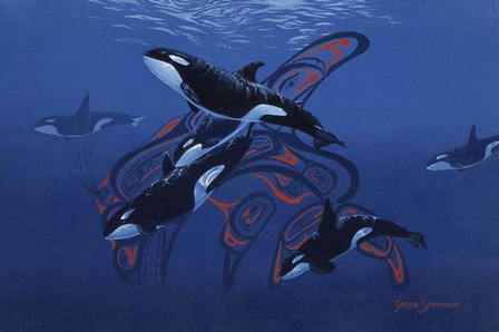 Blue Orcas by Graeme Stevenson art print