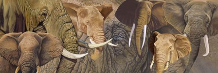 Long Ele by Graeme Stevenson art print