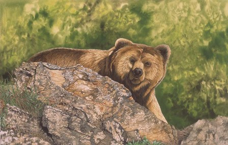 Surprised by Graeme Stevenson art print