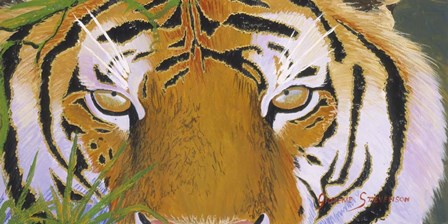 Tiger Eyes by Graeme Stevenson art print