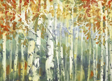 Abstract Birch Trees Warm by Marietta Cohen art print