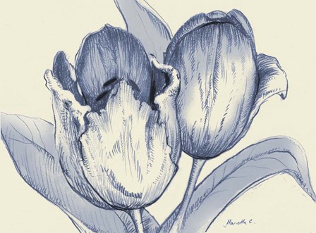 Indigo Tulip by Marietta Cohen art print