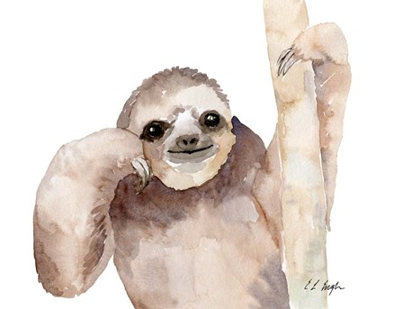 Big Brown Sloth by Elise Engh art print